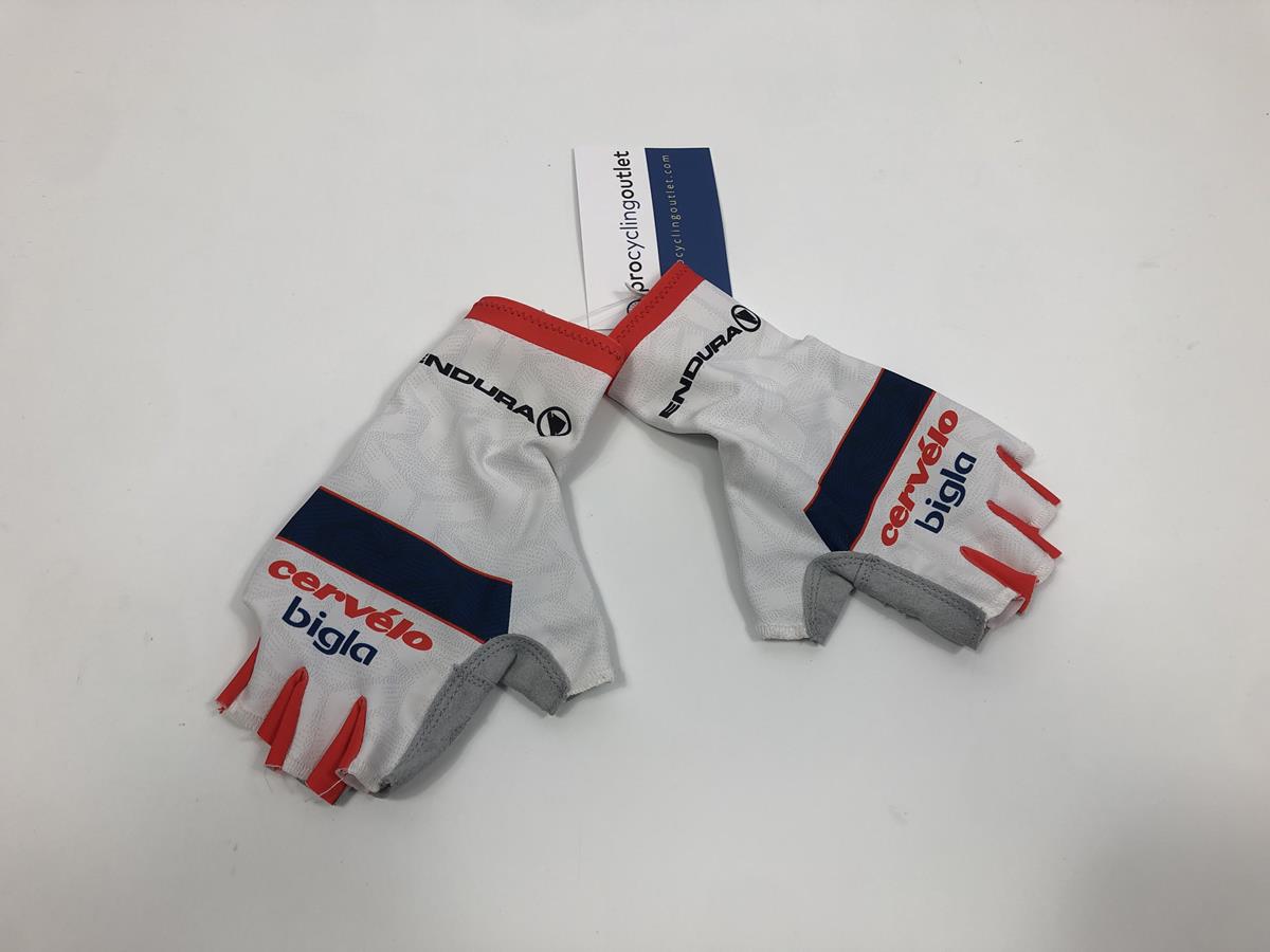 Team Bigla - Long Cut Team Gloves by Endura
