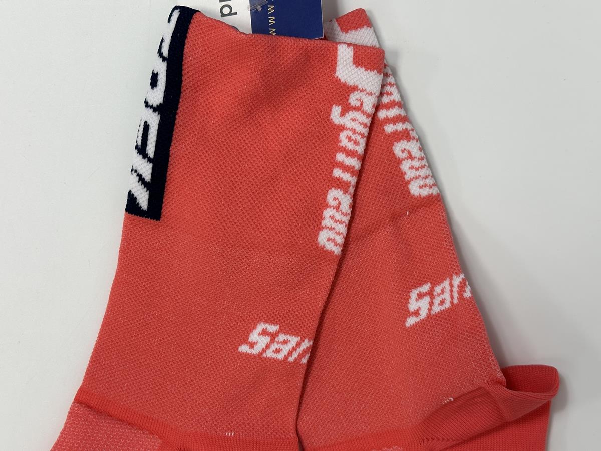 Trek Segafredo Women's - PinkTeam Socks by Santini